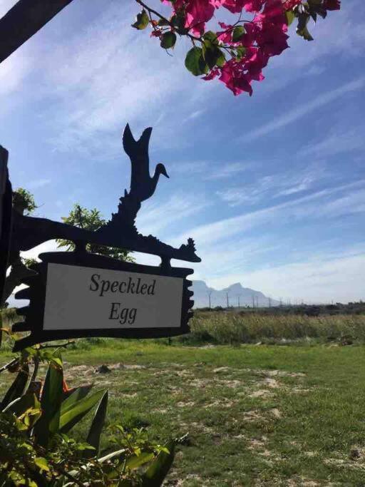 The Speckled Egg, 4 Promenade Rd, Lakeside, Kapsztad Zewnętrze zdjęcie
